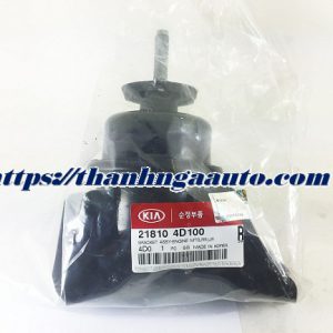 218104D100