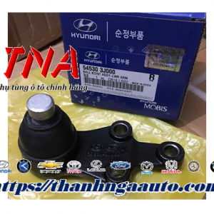 545303J000